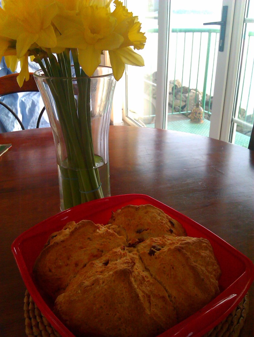 820784_10151217771731512_723320133_o