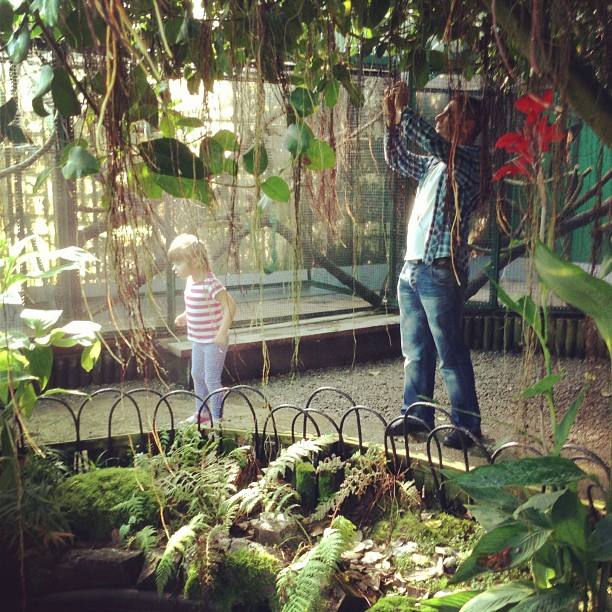 1381248_10151605001846512_3962808_n