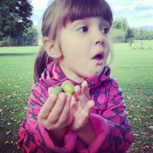 Look what a found, acorns!