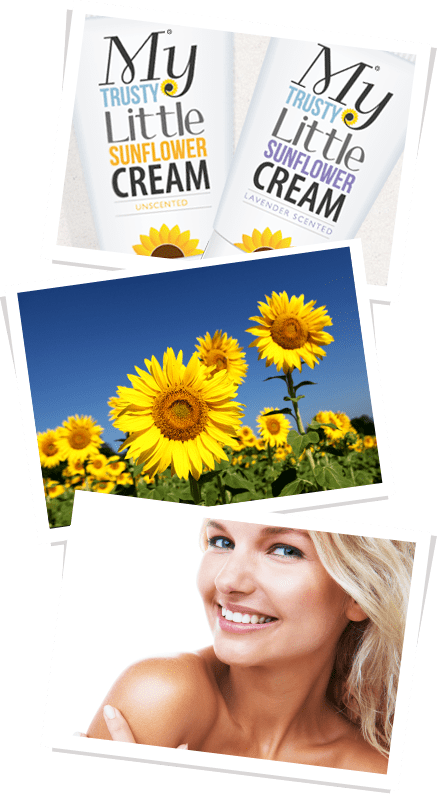 Sunflower Cream