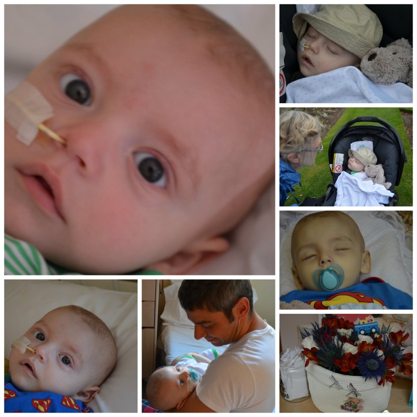 PicMonkey Collage-Georgie