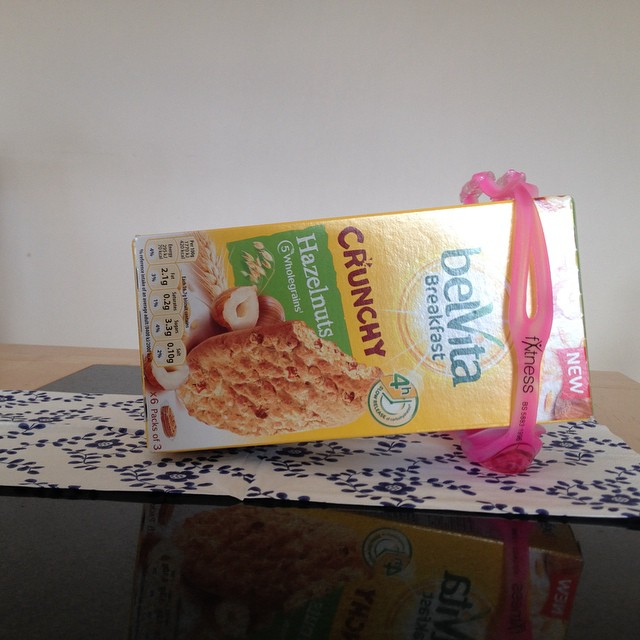 10684295_268250310038296_623801708_n