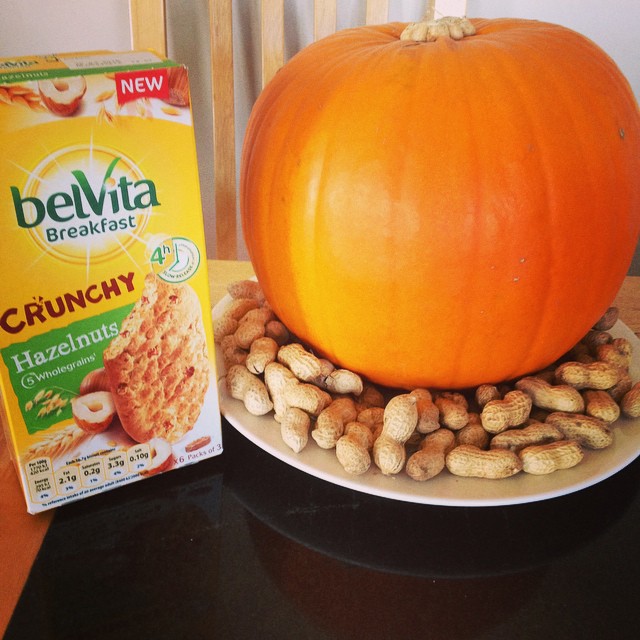 10724962_610158929096186_1308194792_n