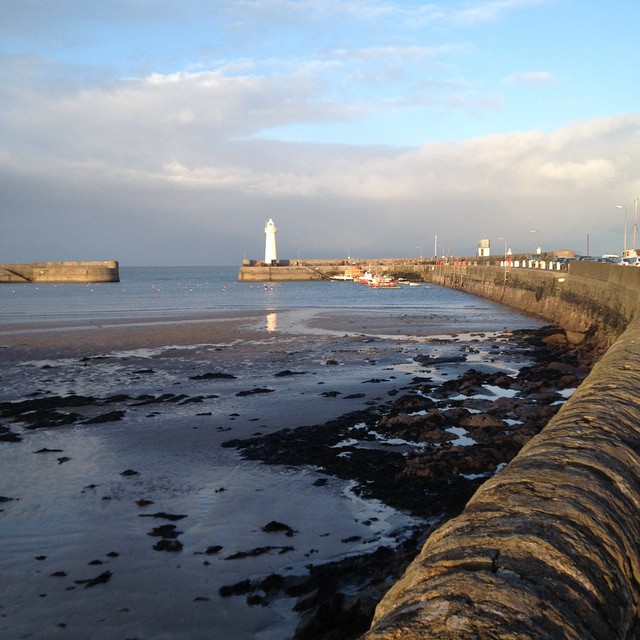 11008190_315157078695601_1651742644_n