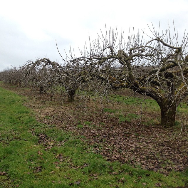 10899531_618004271633190_1910625476_n