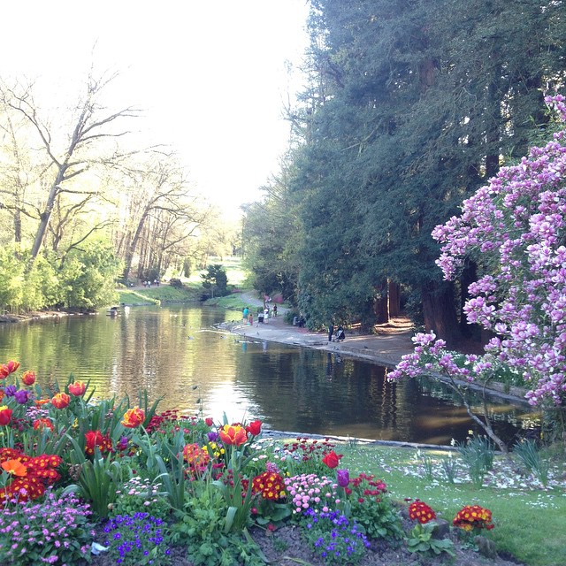 11094510_712963822145964_1841176350_n