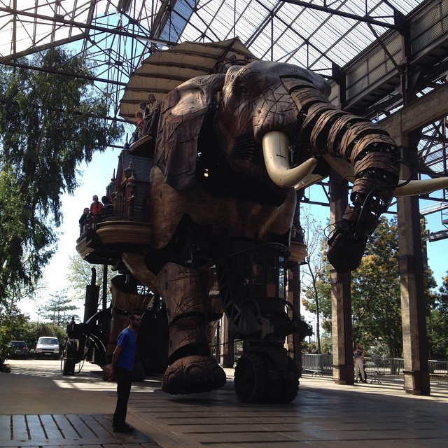 11142894_1405591396426527_86184818_n