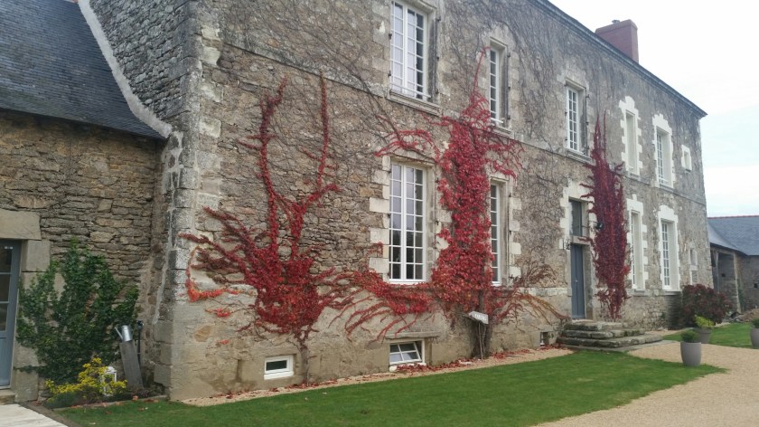 20141120_090615_resized