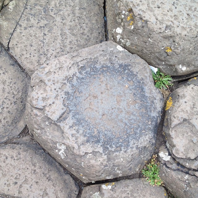 11333748_1608073992772100_425934701_n